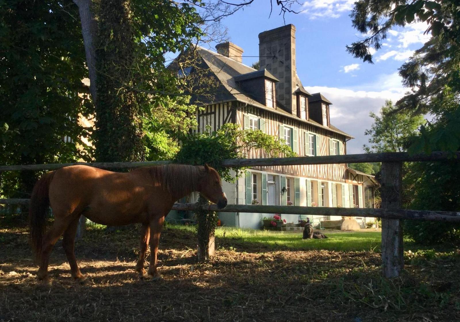 Le Domaine Lieu Bill, Normandie Blonville-sur-Mer Exterior photo